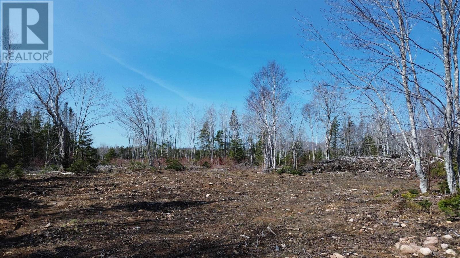 Property 12 of 14 of LOT 2025-2 East Big Intervale Road