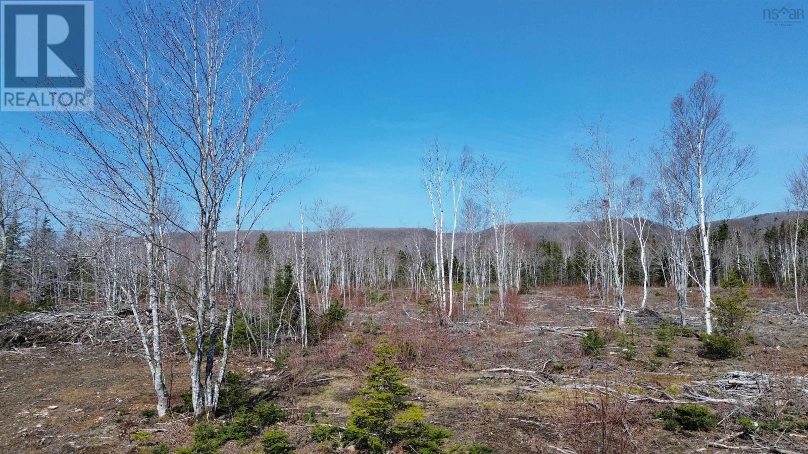 Property 6 of 14 of LOT 2025-2 East Big Intervale Road