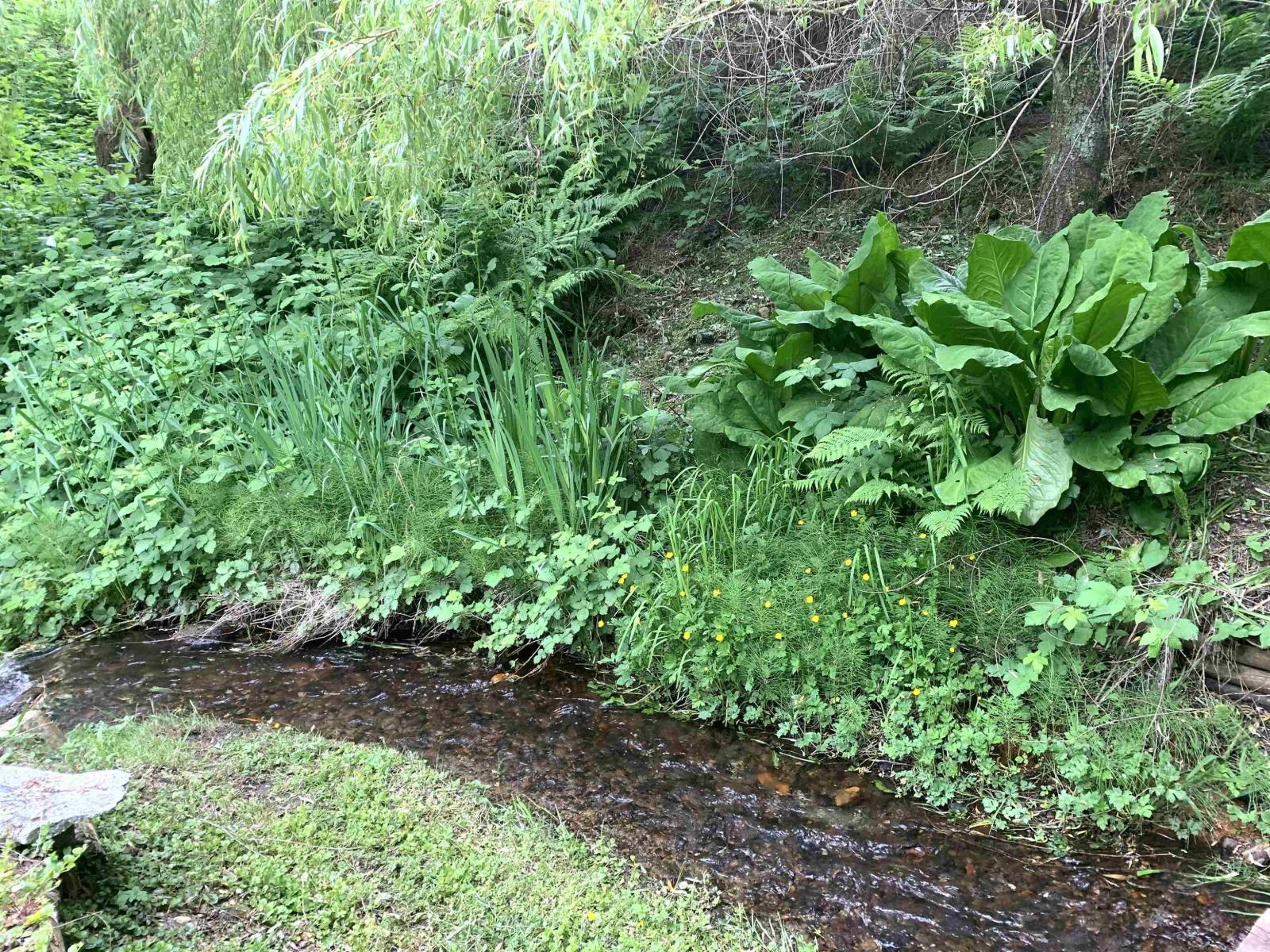 3 Bed, 3 Bath House for Sale in Mission – 7657 HORNE STREET, Mission - Image 28