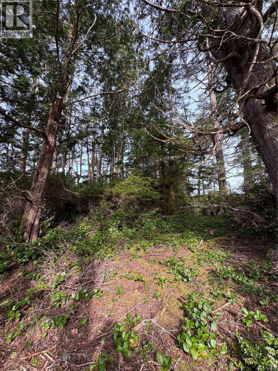 Lot 3 Helby Island, Port Alberni