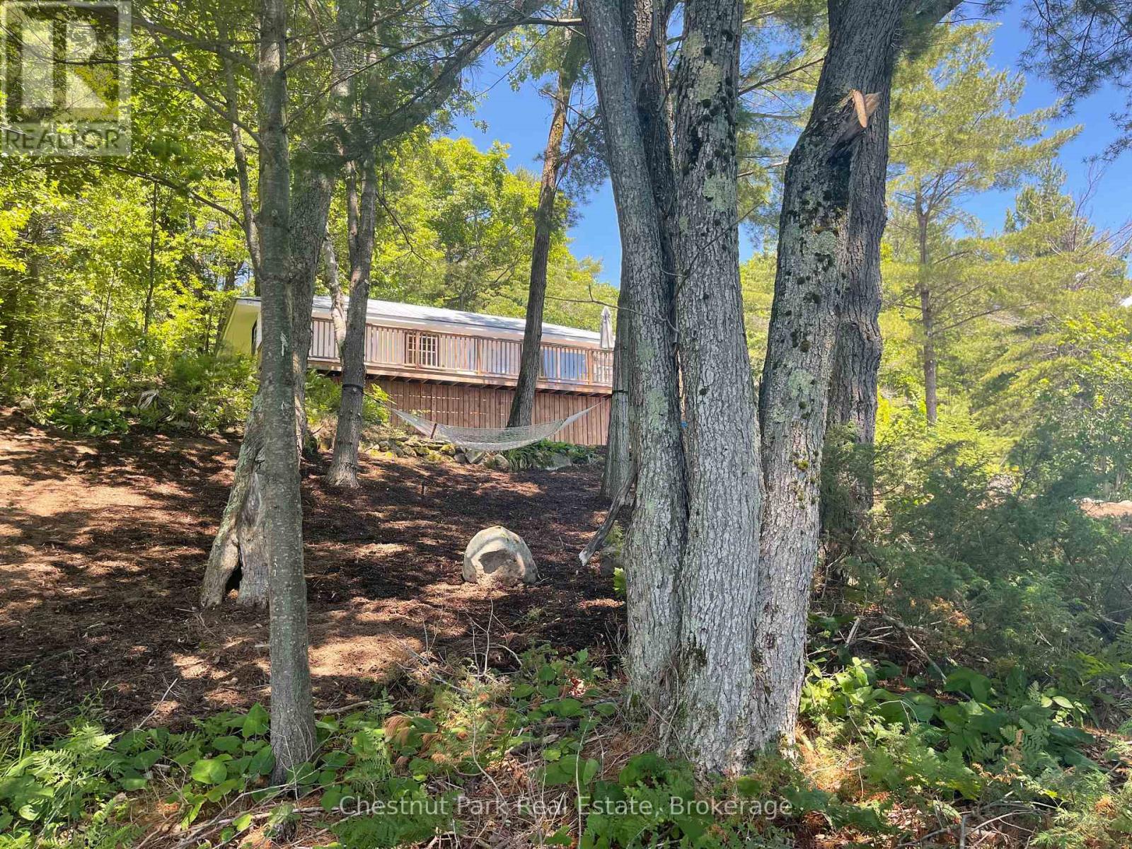 117 STEELES ROAD - 13
