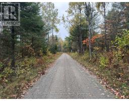4538 County Road 121, Minden Hills, ON K0M2A1 Photo 34