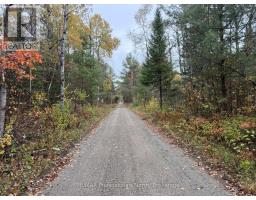 4538 County Road 121, Minden Hills, ON K0M2A1 Photo 35