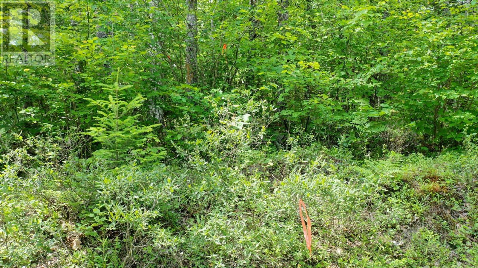 Property 6 of 21 of Lot 71 Baker Pt Road