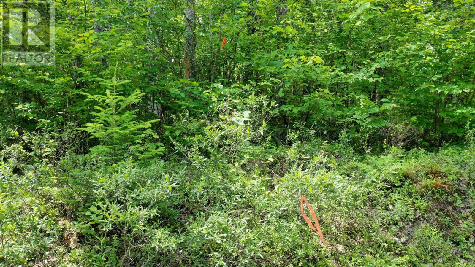 Property 17 of 21 of Lot 71 Baker Pt Road