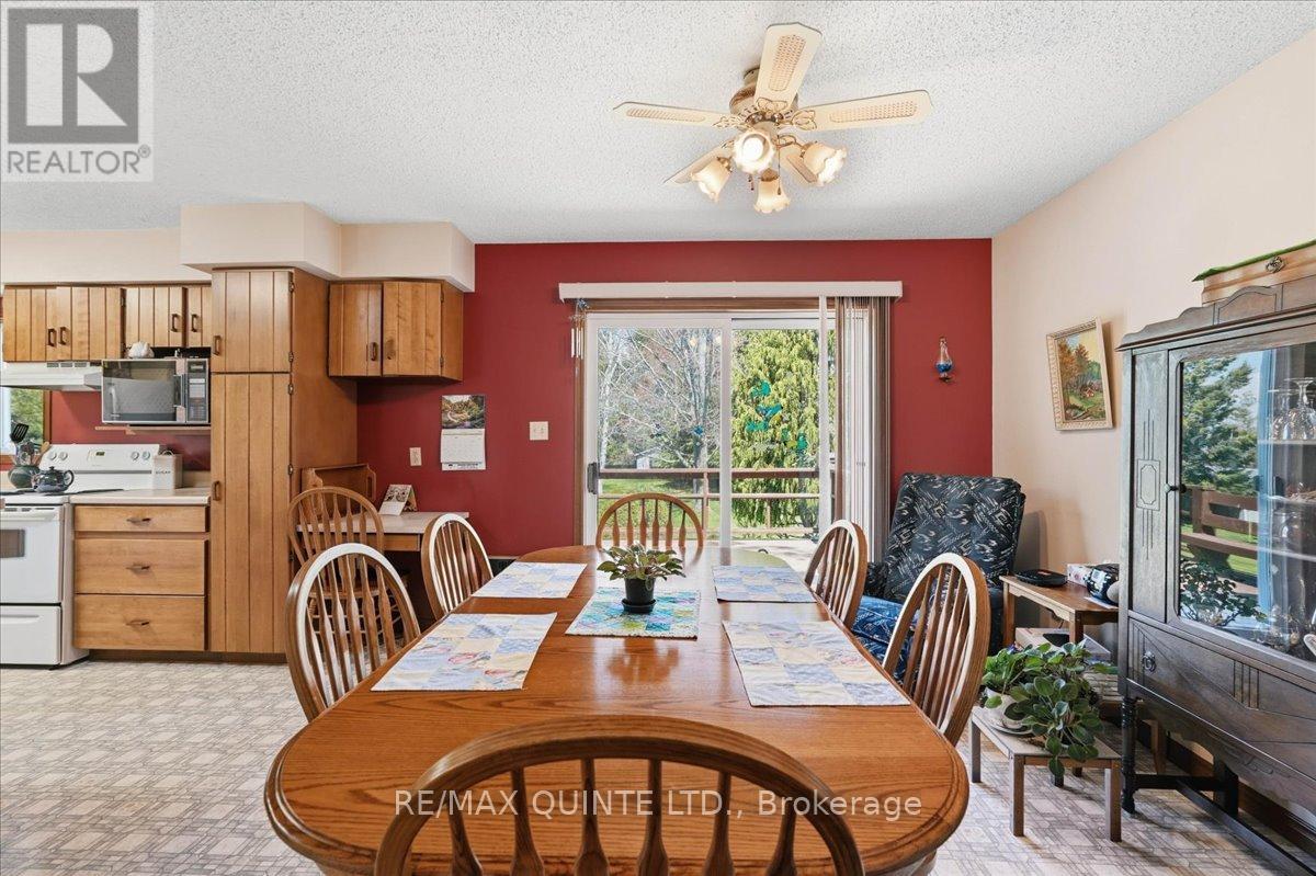 45 SHANNON ROAD - 11
