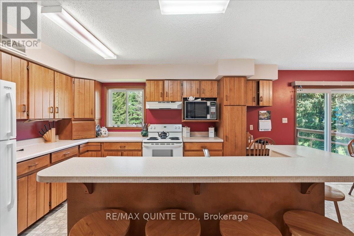 45 SHANNON ROAD - 15