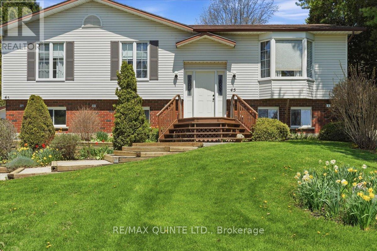 45 SHANNON ROAD - Image 2