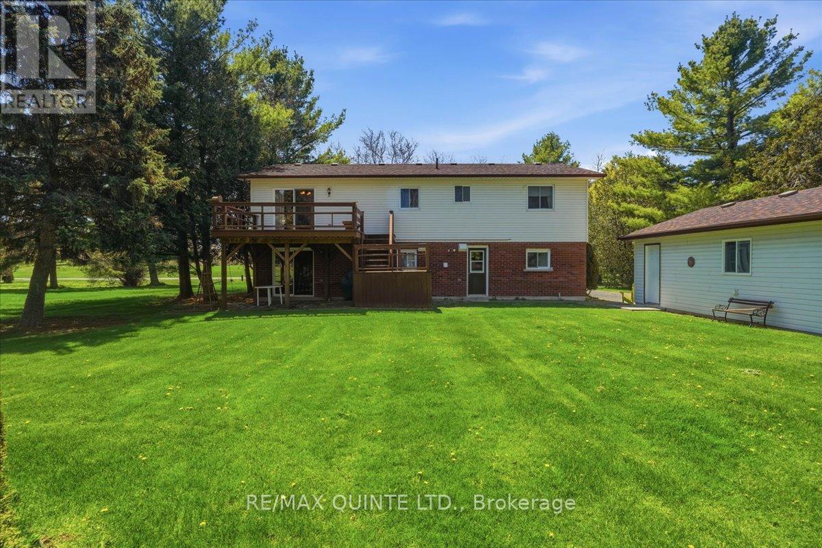 45 SHANNON ROAD - 41