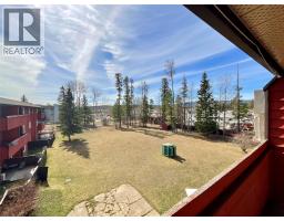 108 Spruce Avenue Unit# 312, Tumbler Ridge, BC V0C2W0 Photo 18