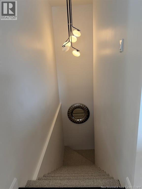 8 Louise Street - 25