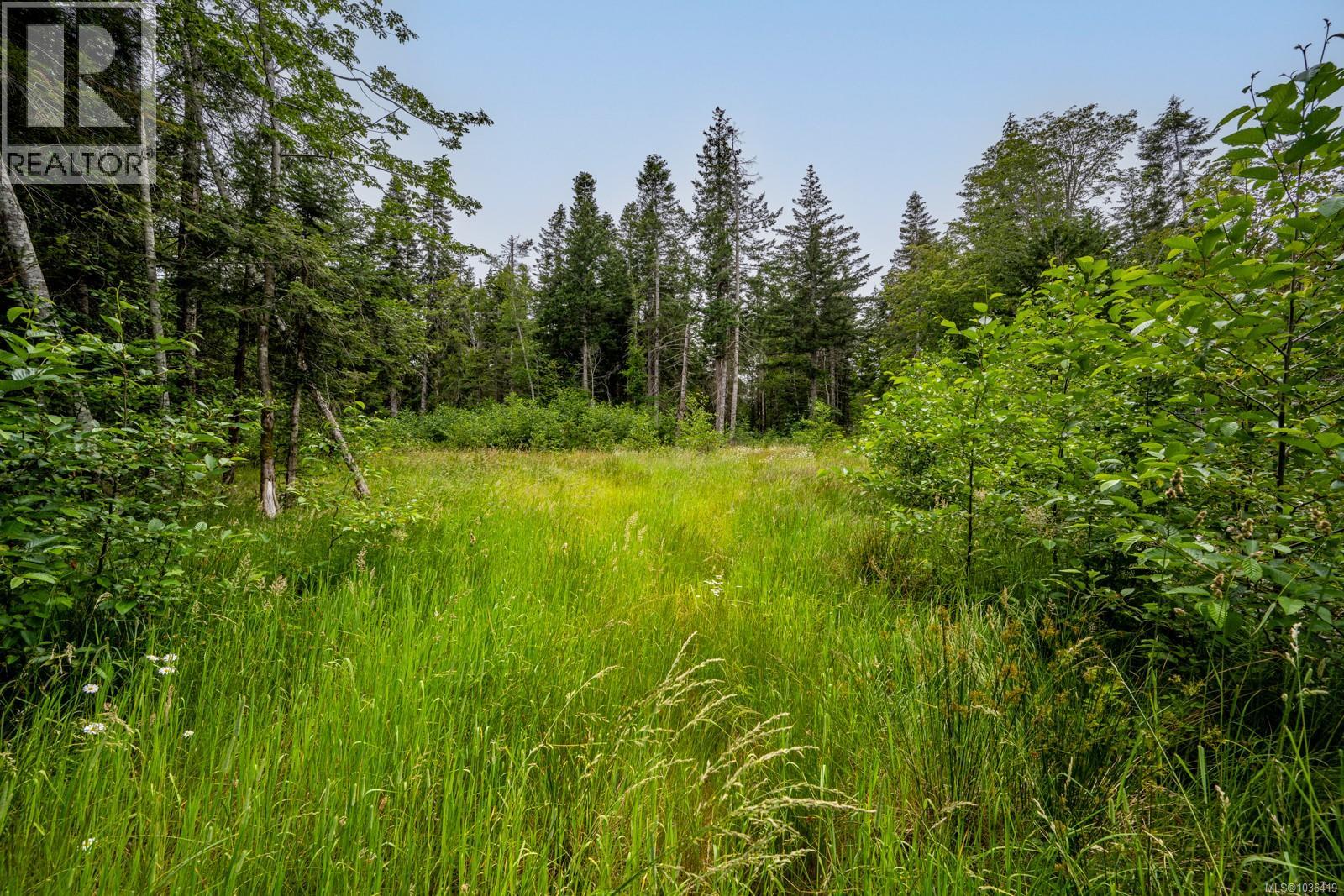 Lot 4 Anderton Rd N, Comox