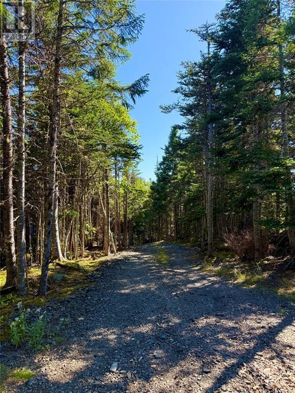 0 Lethbridge Forest Access Road - 22