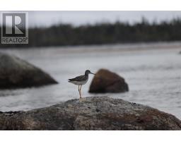 1 Julie's Harbour thumbnail 7