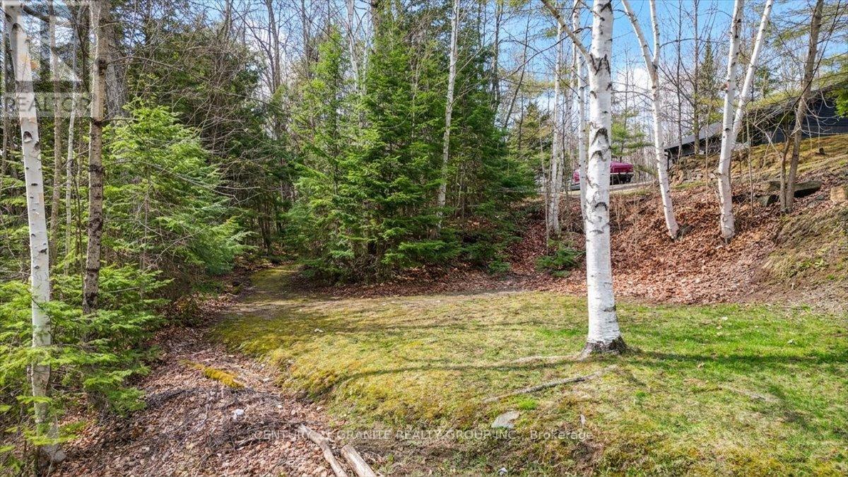245 CEDAR RIDGE TRAIL - 38