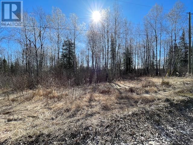 191 Lakeview RD, Dryden — photo 3