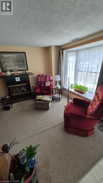 257 CEDAR Street, Simcoe, Ontario, N3Y2H8 — Photo 23