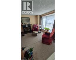 257 Cedar Street, Simcoe, ON N3Y2H8 Photo 22