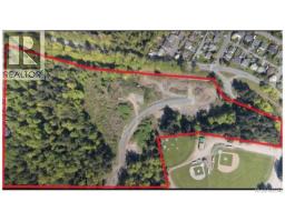 2950 Elm St, Chemainus, BC V0R1K3 Photo 55