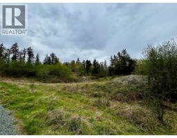 2950 Elm St, Chemainus, BC V0R1K3 Photo 45