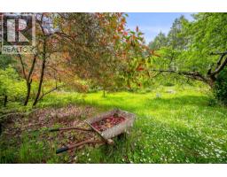 9510 Mcfarlane Rd, Denman Island, BC V0R1T0 Photo 50