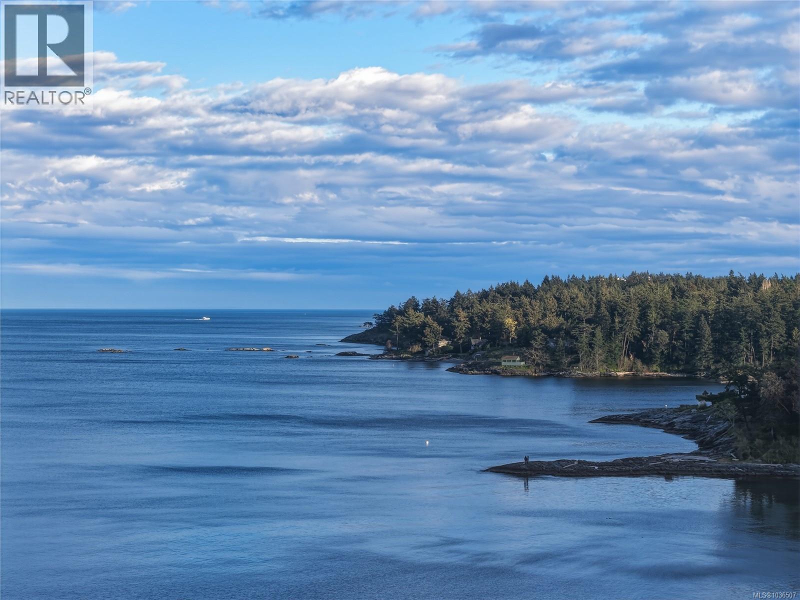 2226 Arbutus Rd - 35