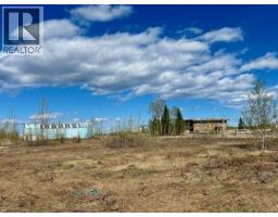 Mile 294 & 295 Alaska Highway, Fort Nelson, BC V0C1R0 Photo 8