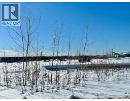 Mile 294 & 295 Alaska Highway, Fort Nelson, BC V0C1R0 Photo 21