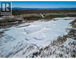Mile 294 & 295 Alaska Highway, Fort Nelson, BC V0C1R0 Photo 19