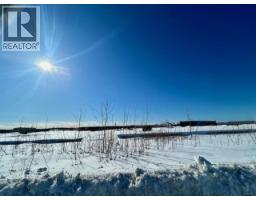 Mile 294 & 295 Alaska Highway, Fort Nelson, BC V0C1R0 Photo 20