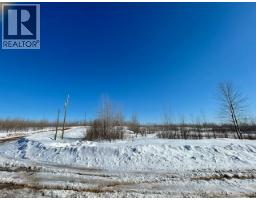 Mile 294 & 295 Alaska Highway, Fort Nelson, BC V0C1R0 Photo 22