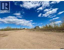 Mile 294 & 295 Alaska Highway, Fort Nelson, BC V0C1R0 Photo 7