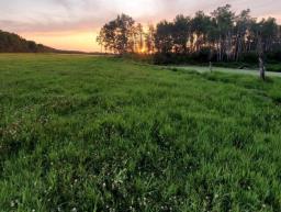 71057 141n Road, Ste Rose Du Lac, MB R0L0S0 Photo 40
