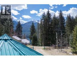 6209 Sawczuk Road Sawczuk Road, Trout Lake, BC V0G1R2 Photo 27