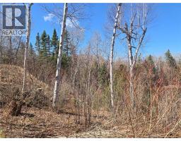 Lot 07-2 Straight Brook Road, Tabusintac, NB E9H2B8 Photo 12