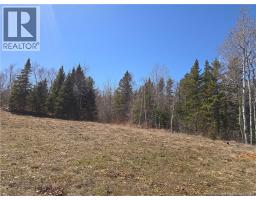 Lot 07-2 Straight Brook Road, Tabusintac, NB E9H2B8 Photo 27