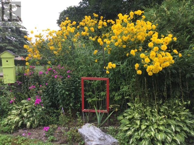 Perennial Garden in Backyard
