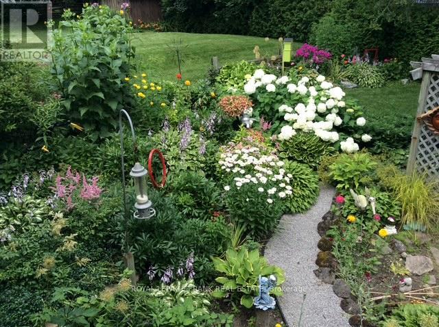 Award Winning Perennial Gardens in Backyard