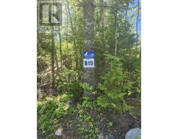 Lot 43 Russell's Cove Road, Parkdale, NS B0R1A0 Photo 8