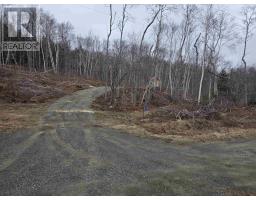 Lot 2 239 Sissiboo Road, Weymouth, NS B0W3T0 Photo 18