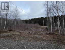 Lot 2 239 Sissiboo Road, Weymouth, NS B0W3T0 Photo 16