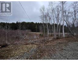 Lot 2 239 Sissiboo Road, Weymouth, NS B0W3T0 Photo 12