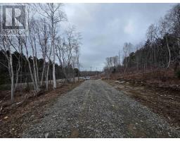 Lot 2 239 Sissiboo Road, Weymouth, NS B0W3T0 Photo 10