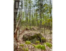 0 King Lake, Machar, ON P0A1X0 Photo 25