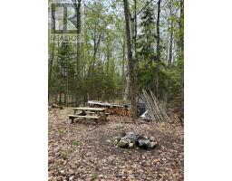 0 King Lake, Machar, ON P0A1X0 Photo 26