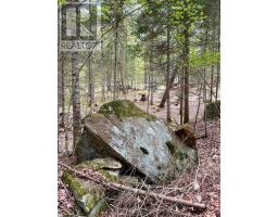 0 King Lake, Machar, ON P0A1X0 Photo 29