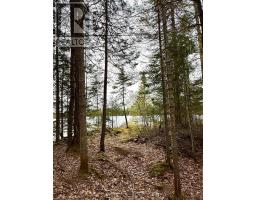 0 King Lake, Machar, ON P0A1X0 Photo 35