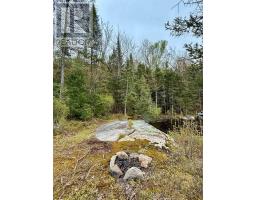 0 King Lake, Machar, ON P0A1X0 Photo 36