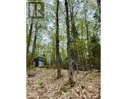 0 King Lake, Machar, ON P0A1X0 Photo 37
