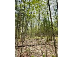0 King Lake, Machar, ON P0A1X0 Photo 38